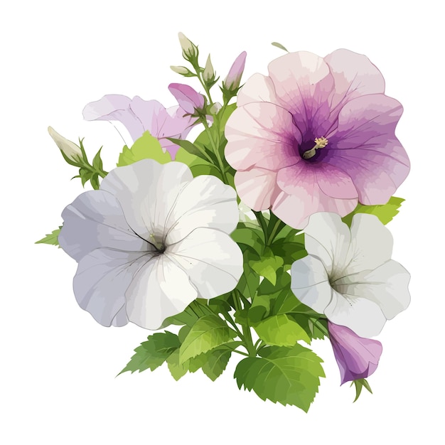 Plik wektorowy akwarelowy wielopłodny petunia clipart edytowalne białe tło