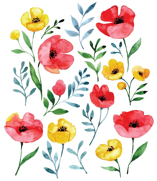 akwarelowy zestaw z dzikimi kwiatami czerwone i żółte maky na białym tle abstrakcyjny druk