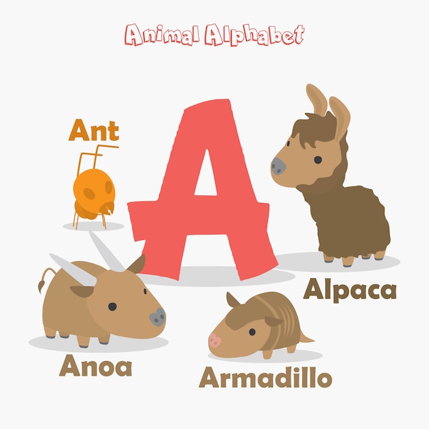 Alfabet Zwierząt