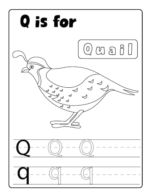 Alfabetyczne Kolorowanki Ptaków I Strony Do śledzenia Liter Z Imieniem