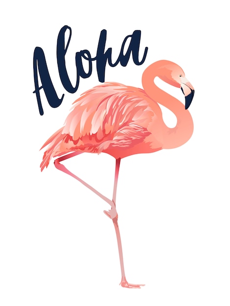 Aloha Flamingo Stylu Ilustracja Na Białym Tle