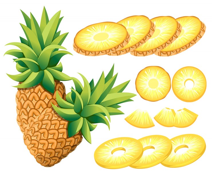 Wektor ananas i plastry ananasa. ilustracja ananasów. ilustracja na ozdobny plakat, emblemat produkt naturalny, rynek rolników. strona internetowa i aplikacja mobilna