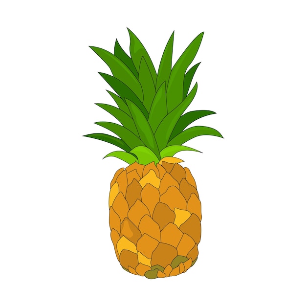 Ananas z liśćmi Owoc ananasu Ananas egzotyczny owoc tropikalny Produkt naturalny