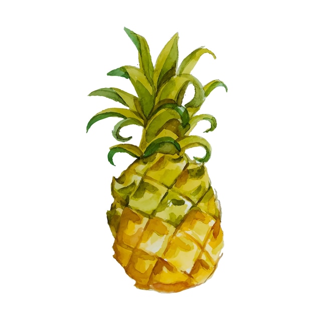 Ananasowe Ilustracje Akwarelowe