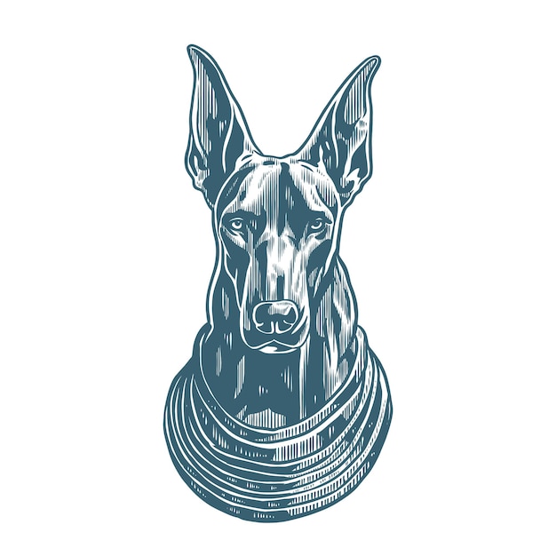 Plik wektorowy anubis doberman pinscher w starym stylu ilustracji grawerowania