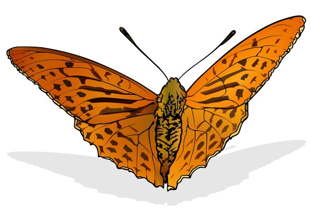 Plik wektorowy argynnis anadyomene motyl