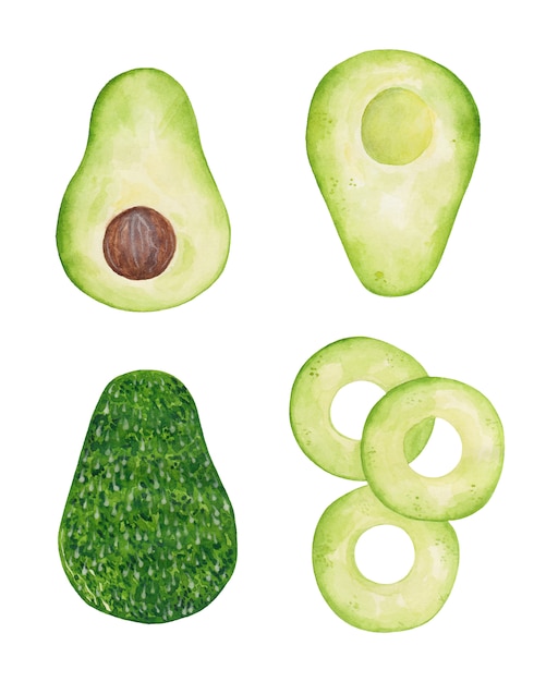 Plik wektorowy avocado ustawia akwareli ilustrację odizolowywającą.