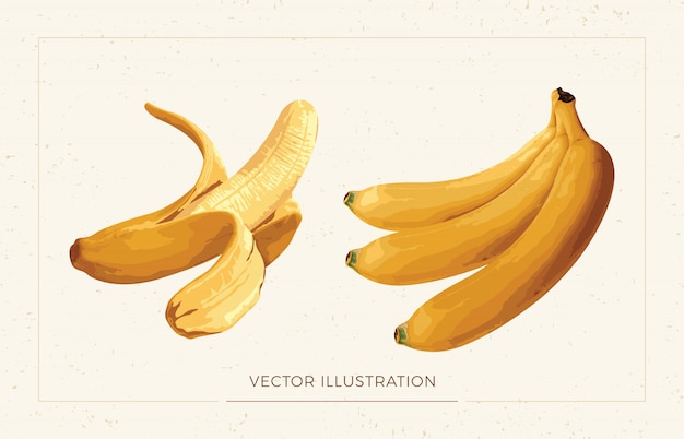 Banana Clipart.