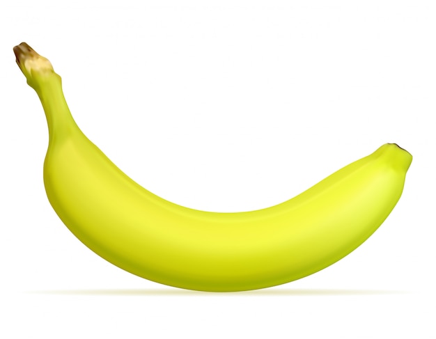 Bananowy dojrzały kolor żółty i niektóre zielona wektorowa ilustracja