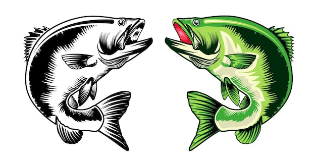 Bass Fish-fish-fishing Wektor Ilustracja Pakiet Projekt