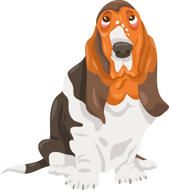 Plik wektorowy basset hound pies ilustracja kreskówka