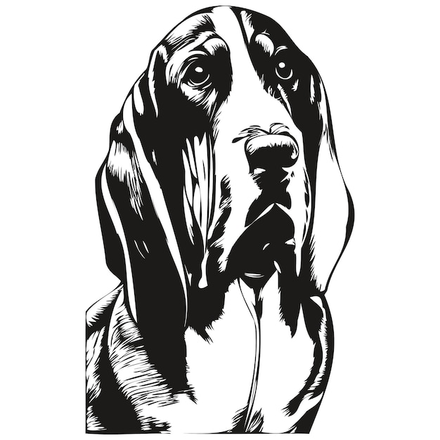 Basset Hound Pies Ręcznie Rysowane Ilustracja Czarno-białe Wektor Zwierzęta Logo Grafika Liniowa