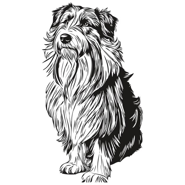 Plik wektorowy bearded collie pies ręcznie rysowane logo rysunek czarno-biały grafik zwierzęta ilustracja charakter ilustracja pies