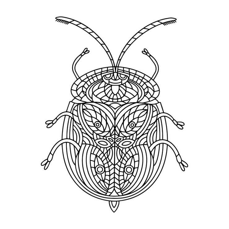 Beetle kolorowanka ilustracja liniowa