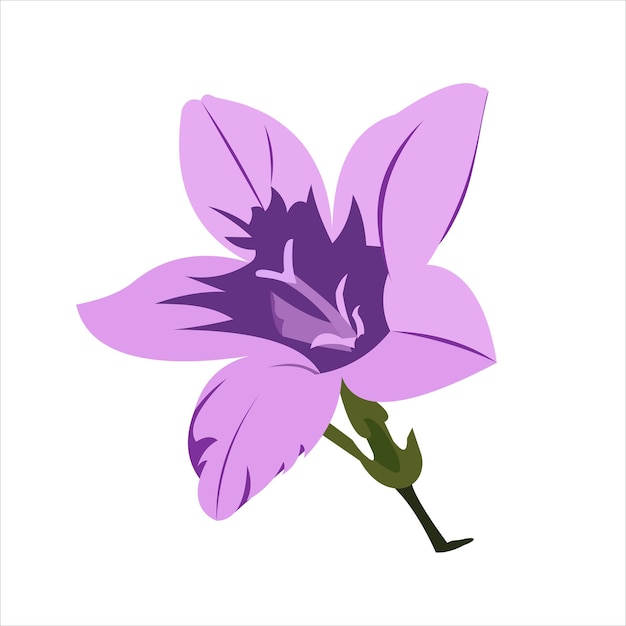 Beff Flower Vector Płaska Grafika Ilustracja 2d Hd