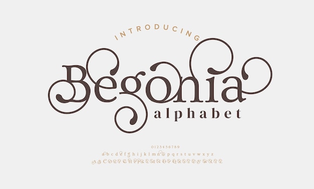 Begonia Luksusowe Eleganckie Litery Alfabetu I Cyfry Elegancka Typografia Klasyczna Czcionka Szeryfowa Vintage