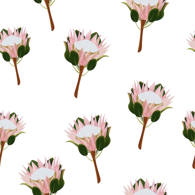 Bezproblemowy wzór delikatnych różowych kwiatów protea ilustracji wektorowych
