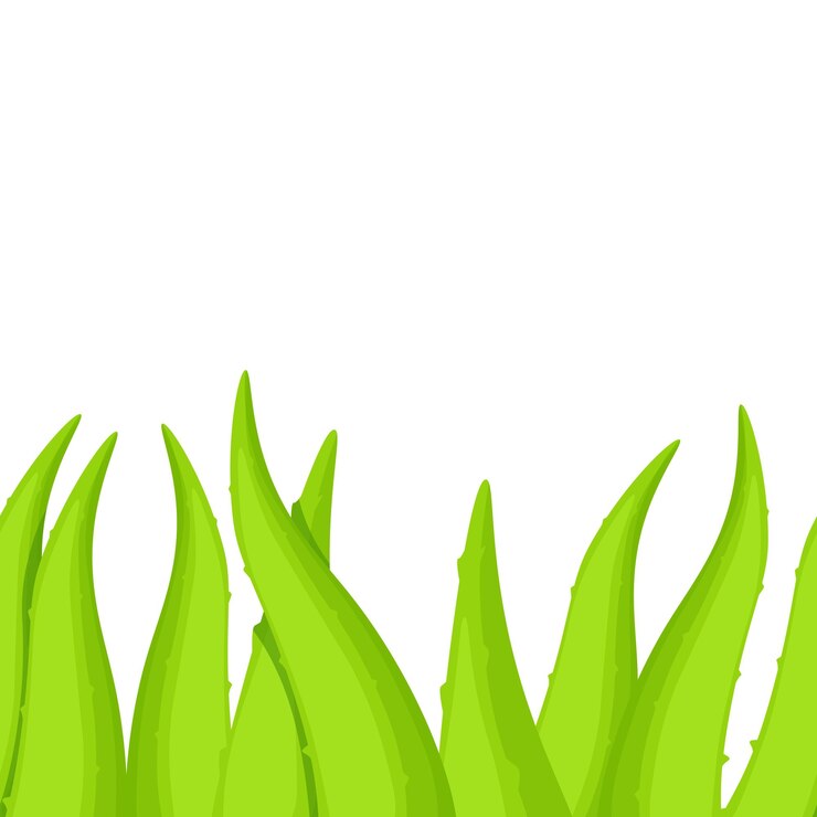 Wektor bezszwodowa krawędź zielonych liści aloe vera