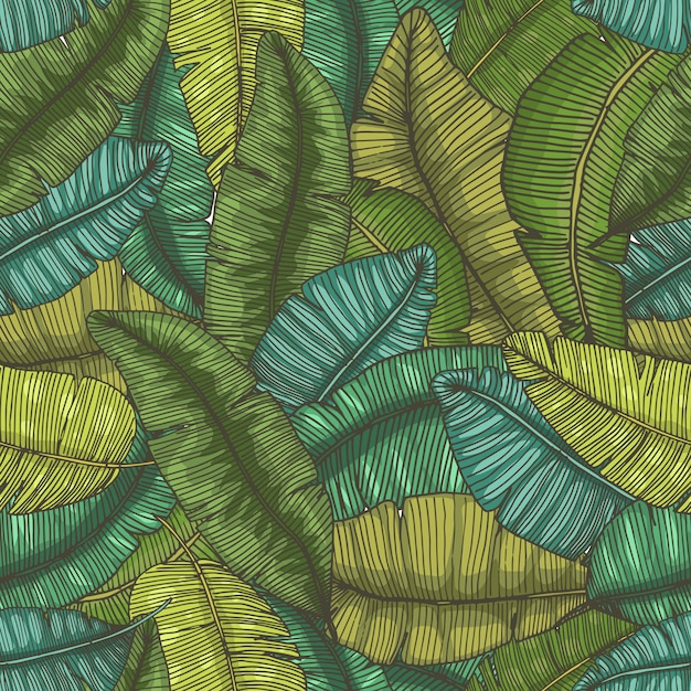 Bezszwowa Ręka Rysujący Wzór Z Bananem Opuszcza Tropikalnej Tekstury Botanicznej Ilustraci