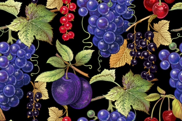 Bezszwowy Wzór Botaniczny Z Winogronami śliwkowymi Porzeczkami I Wiśniami Na Czarnym Tle