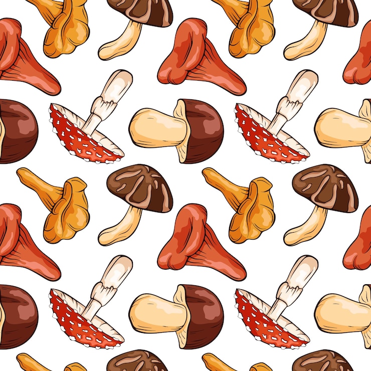 Wektor bezszwowy wzór muchy w stylu kreskówki agaric boletus chanterelle niscalo shiitake na