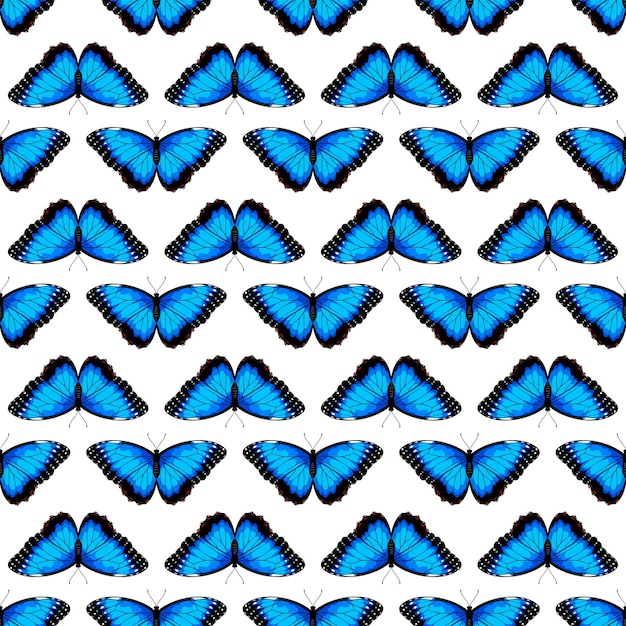 Plik wektorowy bezszwy wzór z ilustracją wektorową błękitnych motyli morpho