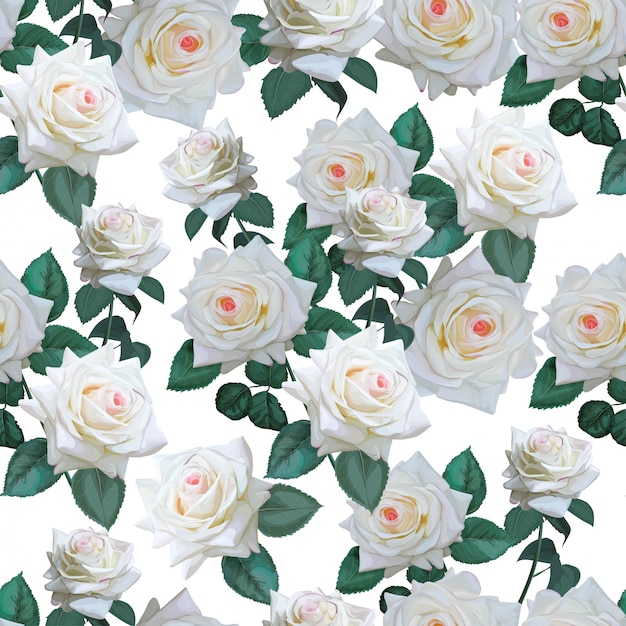 Plik wektorowy biała róża wzór