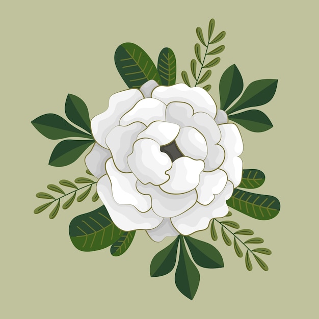 Biały Kwiat Kwiatowy Przyroda Wektor Wzór Liść Ilustracja Kwiecie Roślin Dekoracji Kwiat Flory