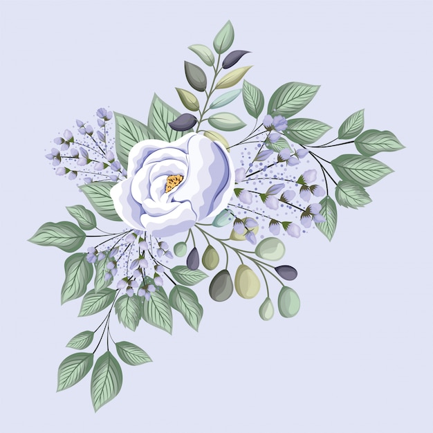 Biały Kwiat Róży Z Liśćmi, Malowanie, Naturalny Kwiatowy Ornament Roślinny, Dekoracja Ogrodowa I Ilustracja Motyw Botaniczny
