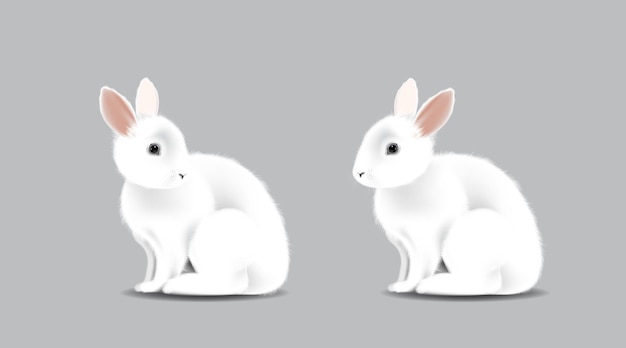Plik wektorowy biały śliczny królik królik siedzący na na białym tle