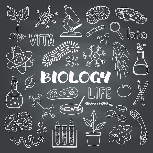 Biologia Zestaw Elementów Stylu Doodle Wyciągnąć Rękę Wektor