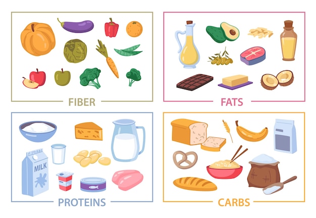 Plik wektorowy błonnik i tłuszcze, białka i węglowodany, żywność dietetyczna