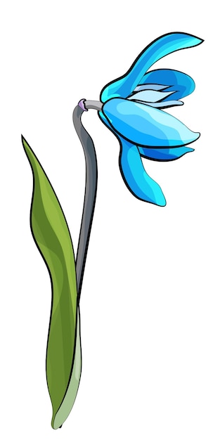 Bluebell Wiosna Niebieski Kwiat Ilustracja