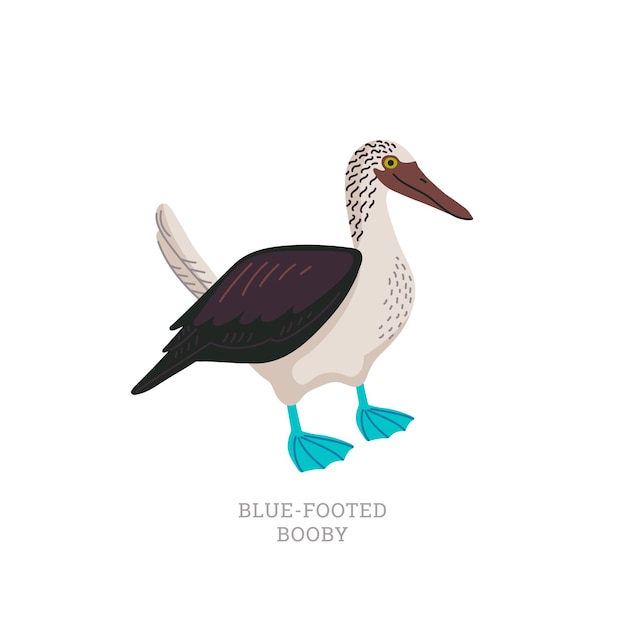 Plik wektorowy bluefooted booby tropikalny ptak morski z jasnoniebieskimi stopami