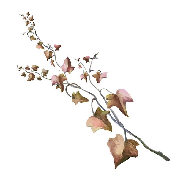 Bluszcz roślina z czerwonymi liśćmi i winoroślą z gałęziami jesienna ilustracja martwych liści