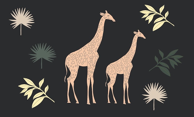 Plik wektorowy boho tropical safari vector boho foliage botanical tropical leaves and african giraffe collection