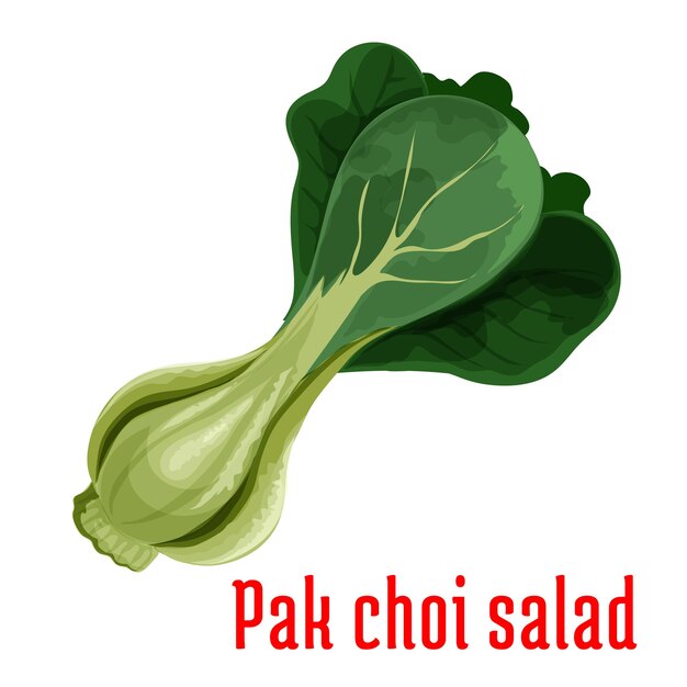 Bok Choy Lub Ikona Warzyw Kapusty Pekińskiej