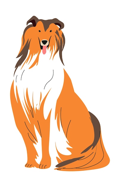 Border collie z długimi włosami psich wektorów zwierzęcych