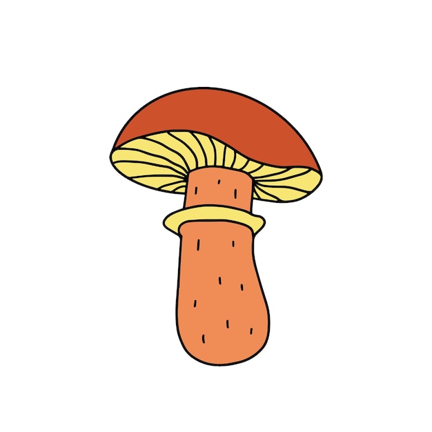 Borowik Grzyb Żniwa Warzywa Ręcznie Rysowane Ilustracja