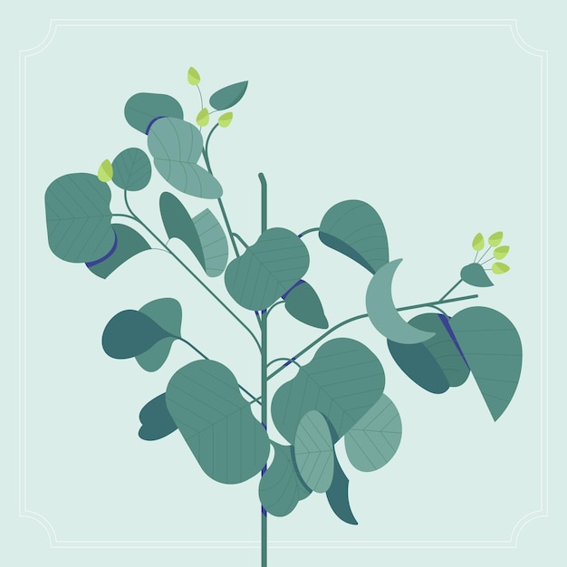 BOTANICAL_09