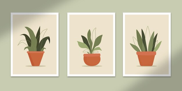 botaniczne abstrakcyjne plakaty sztuka ręcznie rysowane kształty okładki zestaw kolekcja na dekoracje ścienne