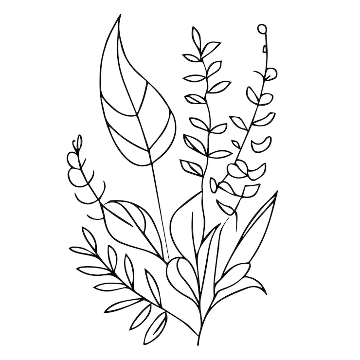 Wektor botaniczny liść pączek ilustracja grawerowany styl sztuki atramentu botaniczny wektor rysunek vintage botaniczny