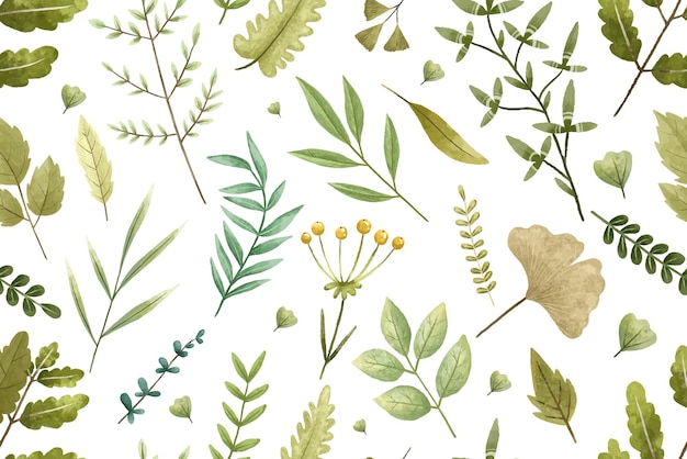 Botaniczny wzór z gałęzi pozostawia zioła ilustracji