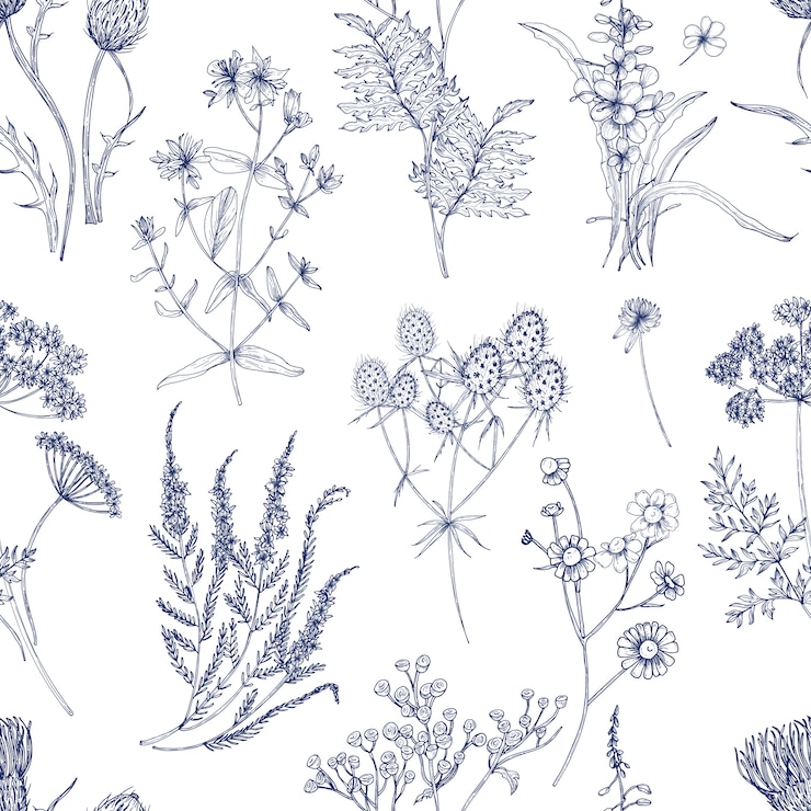Wektor botaniczny wzór z zioła łąka, kwitnące rośliny i kwitnące dzikie kwiaty ręcznie rysowane z niebieskimi liniami na białym tle. naturalna ilustracja w stylu vintage na nadruk tkaniny.