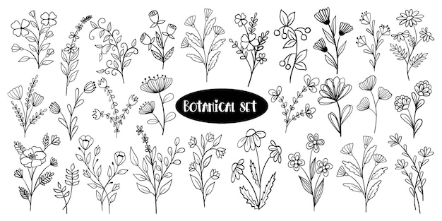 Botaniczny zestaw doodle z kwiatami i roślinami
