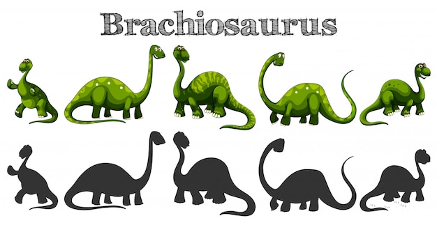 Brachiosaurus W Pięciu Różnych Akcjach