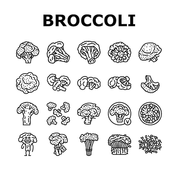Brokuły jedzenie kapusta warzywa ikony zestaw wektor