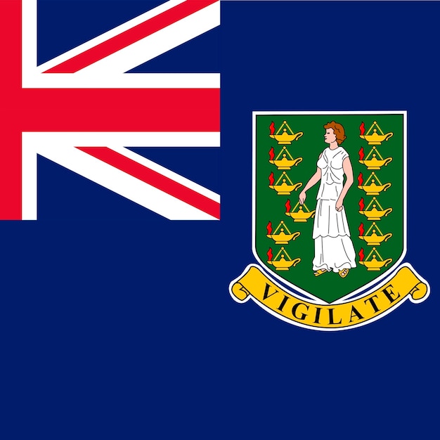Brytyjskie Wyspy Dziewicze flaga oficjalne kolory ilustracji wektorowych