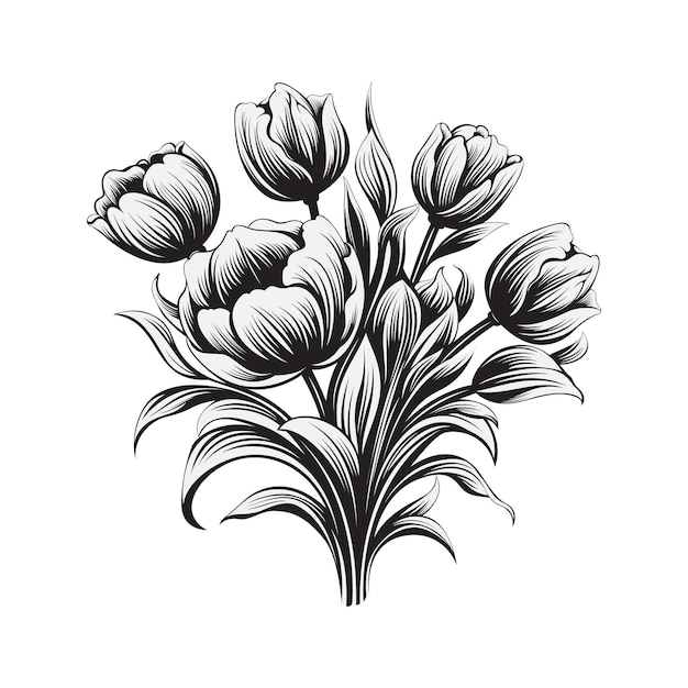 Bukiet Tulipanów W Czerni I Bieli Sylwetka Tulipanów Ilustracja Wektorowa