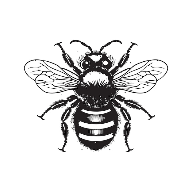 Bumblebee Vintage Logo Koncepcja Sztuki Czarno-biały Kolor Ręcznie Rysowane Ilustracja